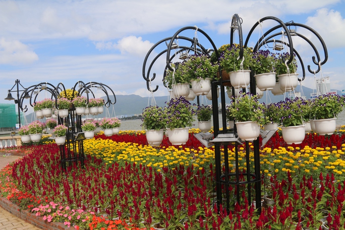 
Hàng trăm bông hoa khoe sắc bên bờ sông Hàn là điểm nhấn hứa hẹn thu hút người dân và du khách ở TP Đà Nẵng

