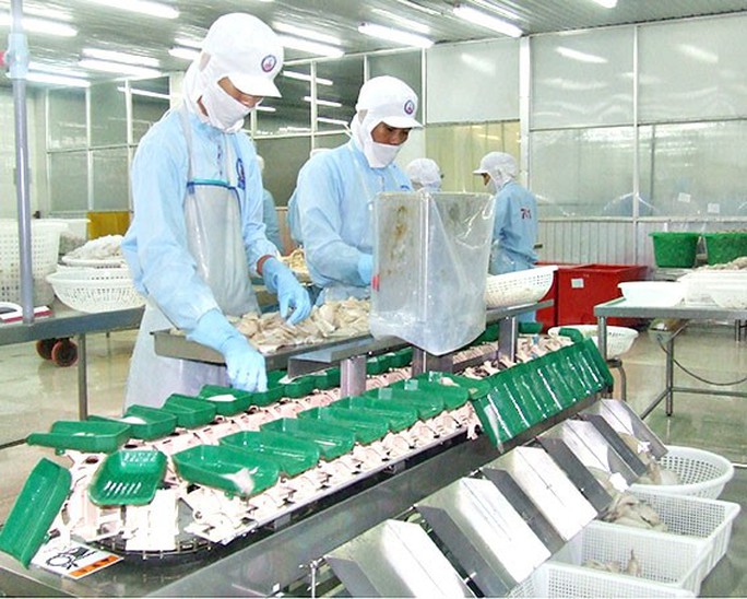 Kéo dài tuổi làm việc phải thực sự đem lại lợi ích cho người lao động - Ảnh 1.