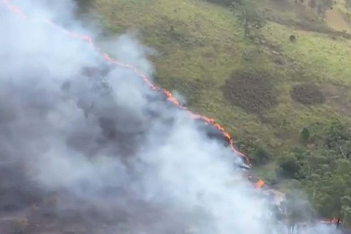
Một khu vực rộng lớn bị ảnh hưởng bởi cháy rừng. Ảnh: 7 News
