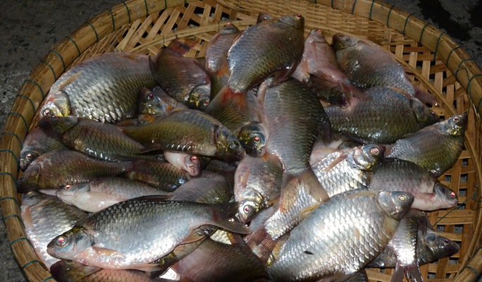 Phát thèm cá đồng ở chợ Âm phủ - Ảnh 4.