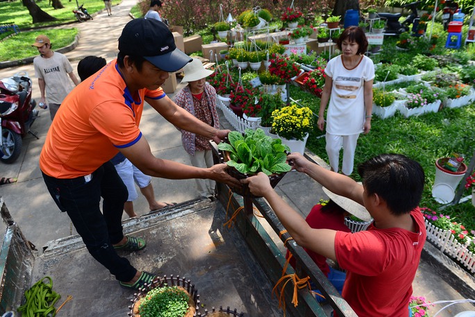 Tại Công viên Lê Văn Tám, không khí mua bán hoa cũng nhộn nhịp không kém