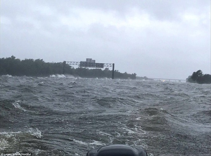 Mỹ: “Đảo kiến lửa” xuất hiện trong bão Harvey - Ảnh 8.