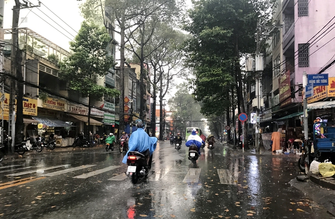 TP HCM: Mưa, nắng thất thường liên tục dễ gây hại - Ảnh 2.
