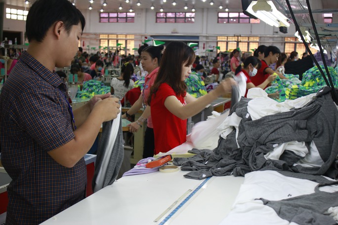 Chốt sổ cho người lao động khi doanh nghiệp nợ BHXH - Ảnh 1.