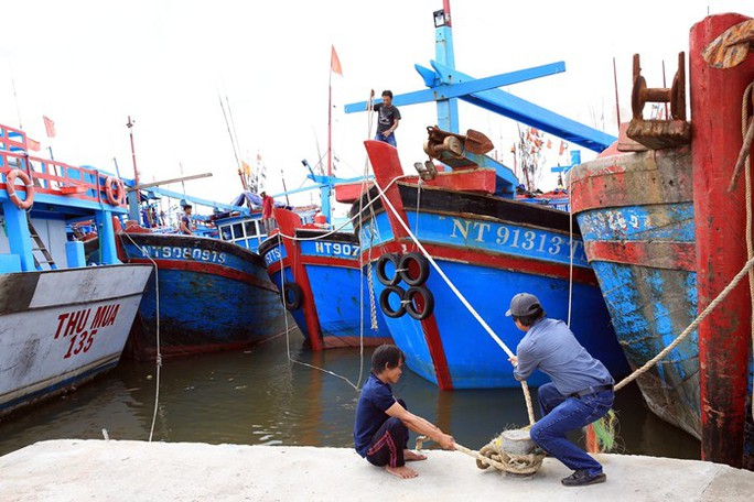 Ninh Thuận – Bình Thuận khẩn trương ứng phó với bão số 14 - Ảnh 1.