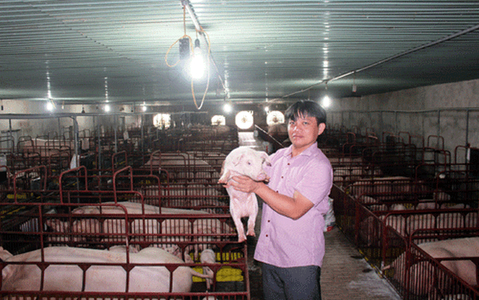 Sắm xế hộp tiền tỉ nhờ… nuôi heo - Ảnh 1. Sắm xế hộp tiền tỉ nhờ… nuôi heo - Ảnh 1.