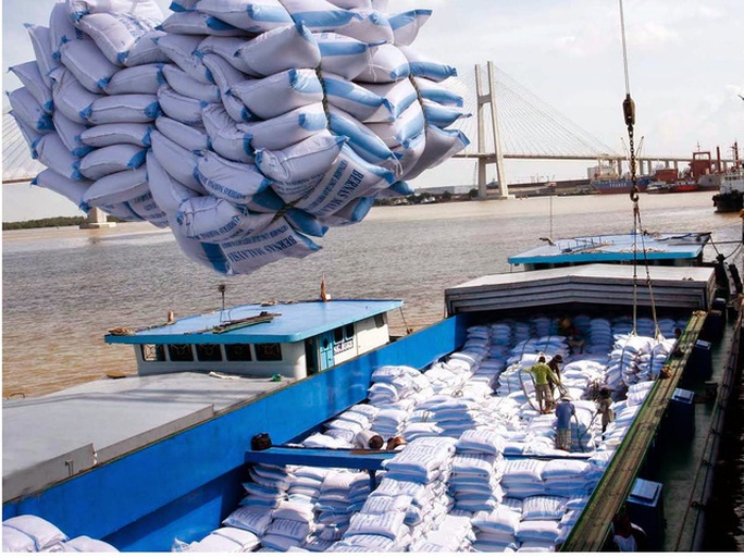 Xuất khẩu gạo năm 2016 sụt giảm mạnh gần 2 triệu tấn, không đạt mục tiêu đề ra