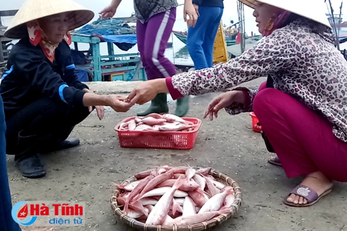 Sướng gì bằng đi chợ cá Cửa Sót sáng tinh mơ