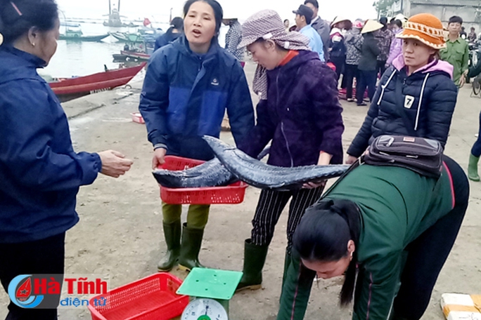 Sướng gì bằng đi chợ cá Cửa Sót sáng tinh mơ