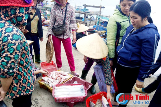 Sướng gì bằng đi chợ cá Cửa Sót sáng tinh mơ