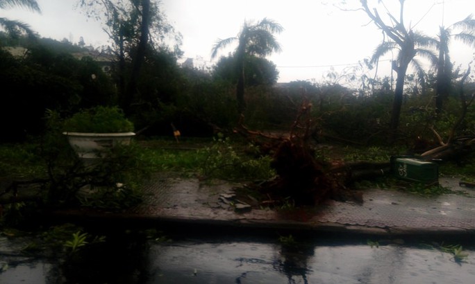 Phú Yên ách tắc, 6 người chết, mất tích vì bão số 12 - Ảnh 13.