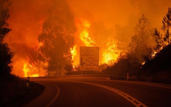 Cháy rừng bí ẩn, hàng chục người chết trong ô tô - Ảnh 1.