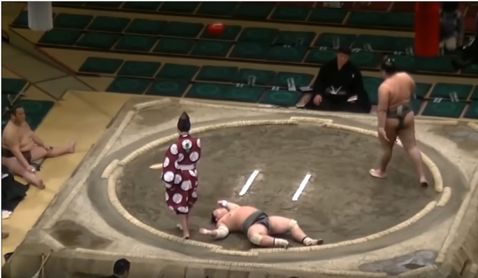 sumo
