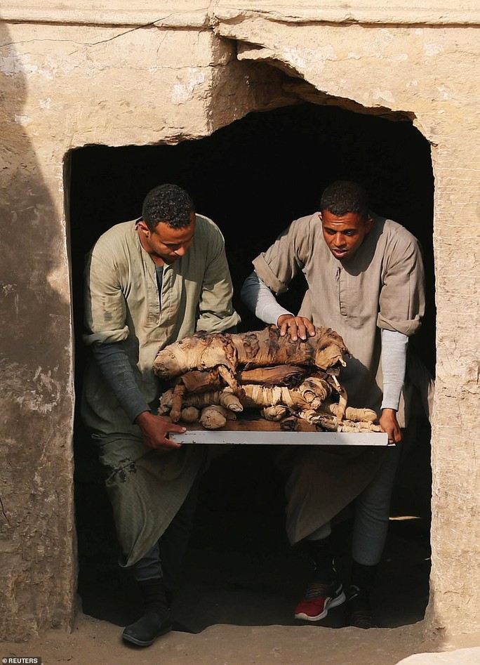Phát hiện mẻ xác ướp lạ bên trong khu mộ cổ ở Saqqara - Ảnh 4.