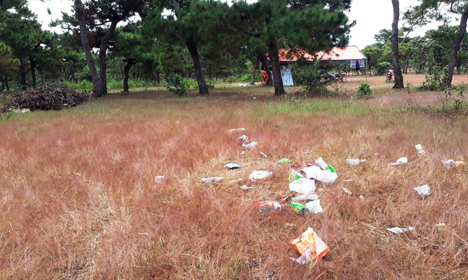 Trước ngày lễ hội, đồi cỏ hồng bị bôi bẩn bởi rác thải, kim tiêm - Ảnh 4.