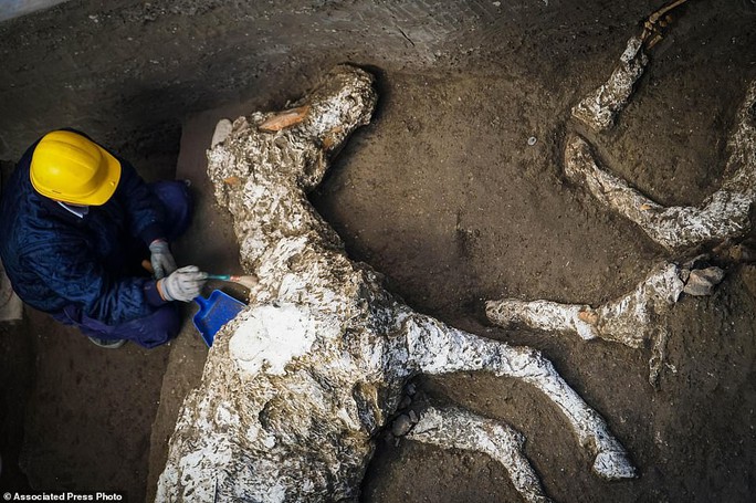 Bí ẩn ngựa đá từng có sự sống trong hầm mộ 2.000 năm - Ảnh 2.