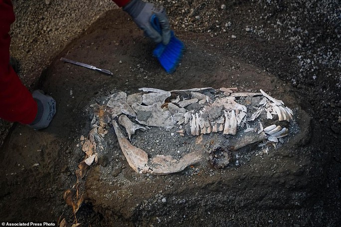 Bí ẩn ngựa đá từng có sự sống trong hầm mộ 2.000 năm - Ảnh 4.