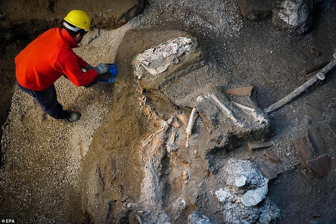 Bí ẩn ngựa đá từng có sự sống trong hầm mộ 2.000 năm - Ảnh 5.