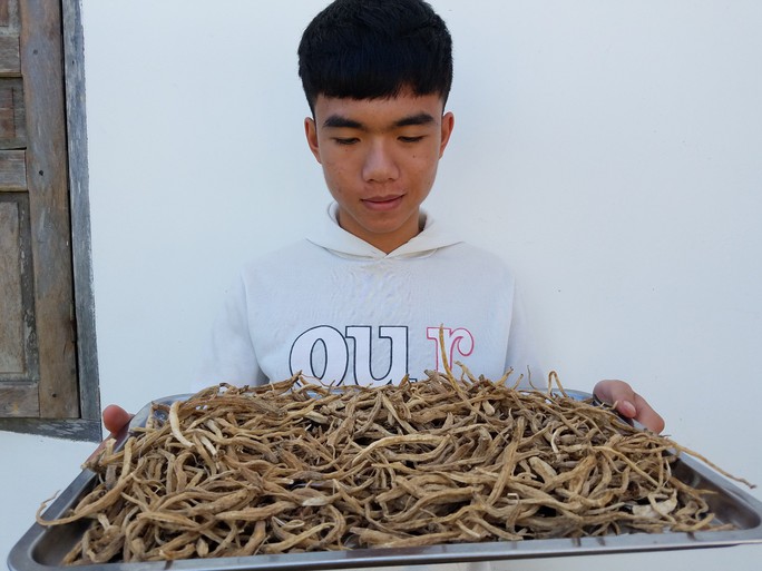 Về với xứ sở sâm dây - Ảnh 4. Về với xứ sở sâm dây - Ảnh 4.