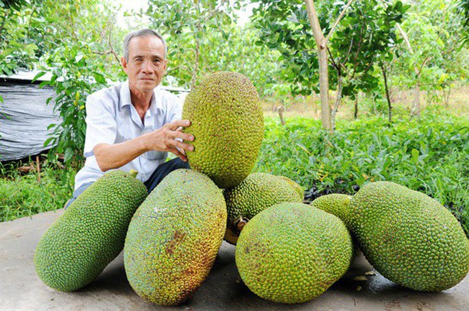 Mít Thái tiếp tục tăng giá kỷ lục - Ảnh 1.