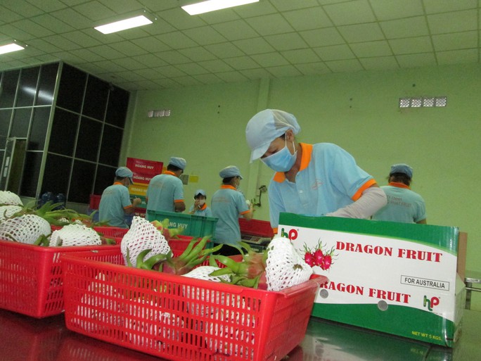 Làn gió lạc quan từ CPTPP - Ảnh 1.