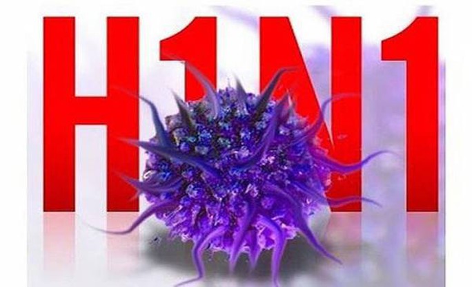 Độc lực cúm A/H1N1 không biến đổi, sao nhiều người tử vong? - Ảnh 1.