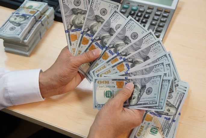 Tỉ giá trung tâm có thể giảm 2%-2,5% trong năm nay - Ảnh 1.