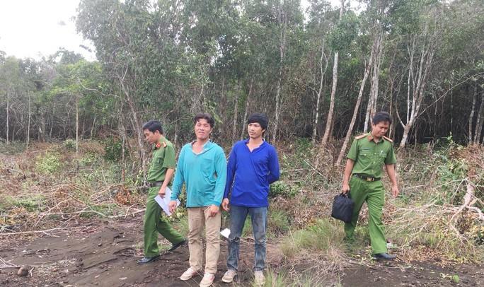 4 đối tượng phá rừng ở Phú Quốc bỏ trốn - Ảnh 1.