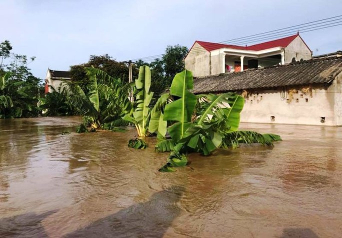 Thanh Hóa, Nghệ An ngổn ngang do mưa lũ - Ảnh 1.