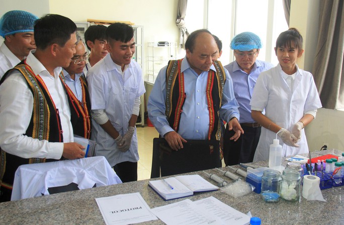 Đưa sâm Ngọc Linh từ quốc bảo trở thành quốc kế - Ảnh 1.