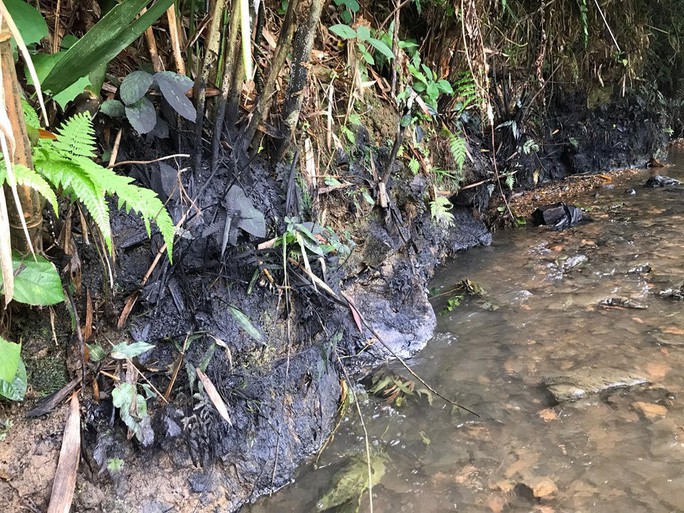 Khởi tố vụ đổ dầu thải vào nguồn nước sông Đà, gây ô nhiễm nghiêm trọng - Ảnh 1.