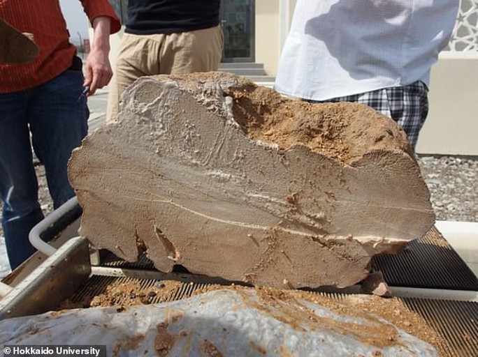 San hô đá tiết lộ sự biến mất bí ẩn của đế chế 4.200 năm tuổi - Ảnh 3.