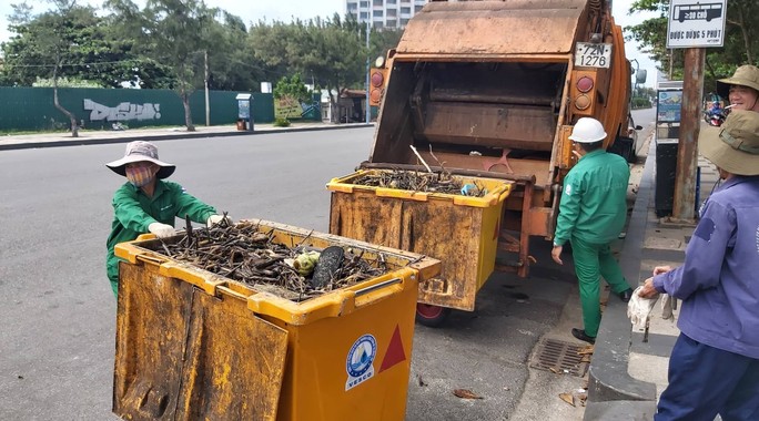 Cận cảnh bãi biển Vũng Tàu bị cả trăm tấn rác vây kín! - Ảnh 5.