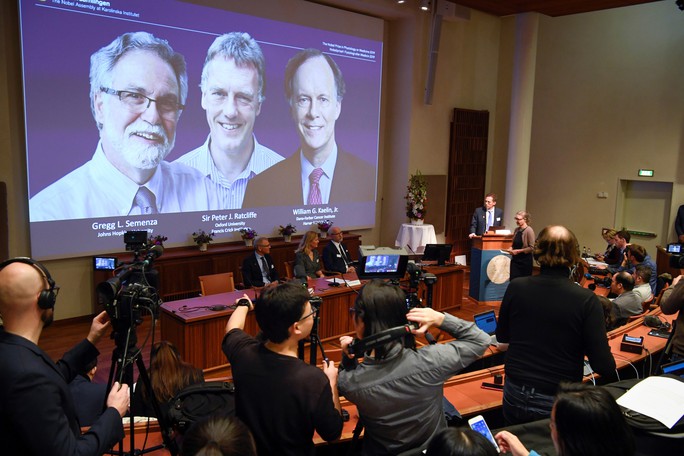 Nobel Y học 2019: Mở ra chiến lược mới chống ung thư - Ảnh 1.