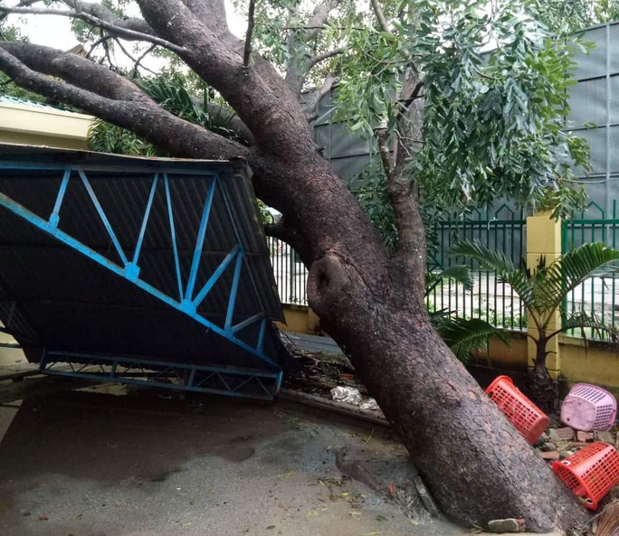 Mưa lớn, hàng trăm hộ dân bị ngập, học sinh nghỉ học, toàn hồ đập bị đe dọa - Ảnh 4. Mưa lớn, hàng trăm hộ dân bị ngập, học sinh nghỉ học, toàn hồ đập bị đe dọa - Ảnh 4.