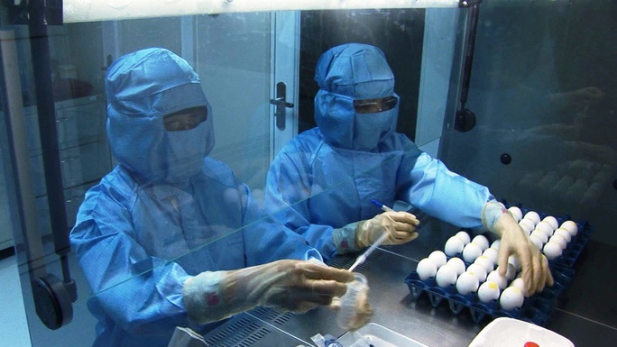 Lần đầu tiên Việt Nam tổng hợp gen sản xuất vắc-xin cúm A/H5N1 - Ảnh 2.