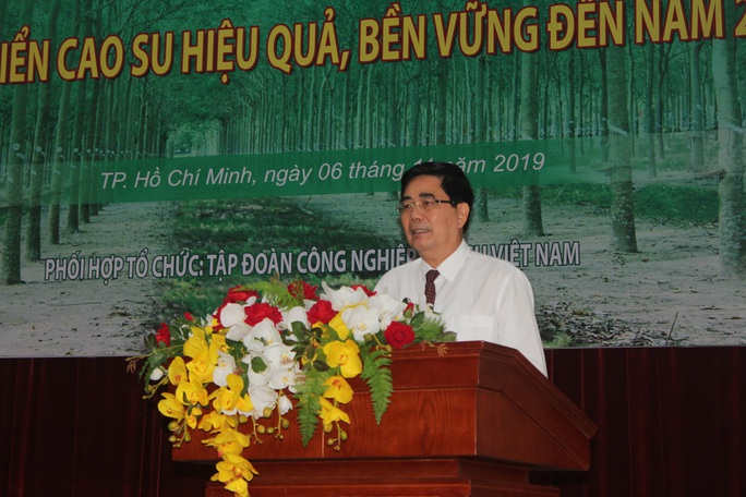 Ngành cao su tạo việc làm thường xuyên cho gần 500.000 lao động - Ảnh 3.