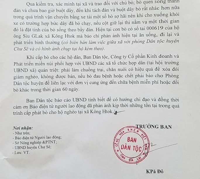 Vụ cấp bò không đứng được cho dân làm giống: Do bò... nhút nhát (?!) - Ảnh 5. Vụ cấp bò không đứng được cho dân làm giống: Do bò... nhút nhát (?!) - Ảnh 5.