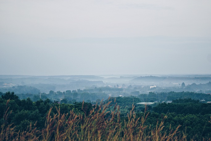 Về Trị An nghe bàn tay thơm mùi cỏ lau - Ảnh 4.