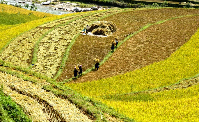 Cuộc thi ảnh Nét đẹp lao động: Sắc màu cuộc sống - Ảnh 1.