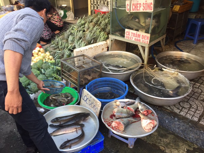 Thịt cá, trái cây Tết đầy chợ - Ảnh 1.