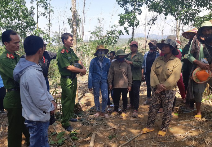 Khởi tố vụ án phá rừng trồng của doanh nghiệp - Ảnh 1.