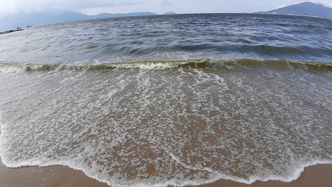 Cá chết hàng loạt dạt vào bờ trên bãi biển Đà Nẵng - Ảnh 7.