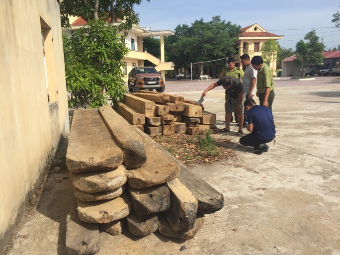 Truy đuổi xe chở gỗ lậu, kiểm lâm bị lâm tặc dùng đá đập vào đầu cấp cứu - Ảnh 2.