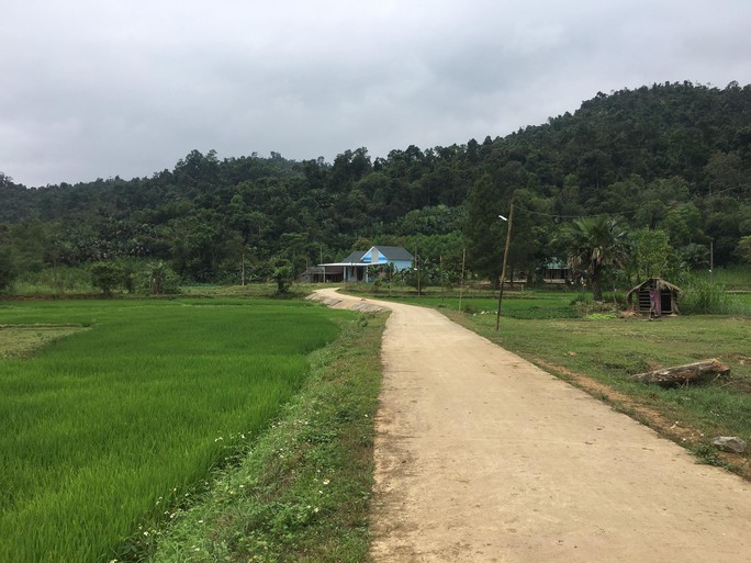 Kỷ luật chủ tịch xã dùng tiền nhà nước mở đường dẫn vào nhà riêng - Ảnh 1.