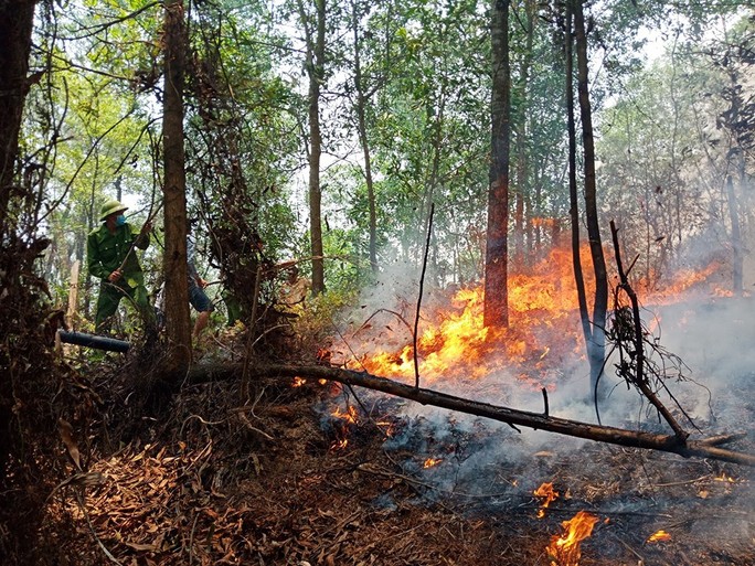 Hà Tĩnh lại xảy ra cháy rừng, hàng trăm người dập lửa dưới trời nắng nóng - Ảnh 2.