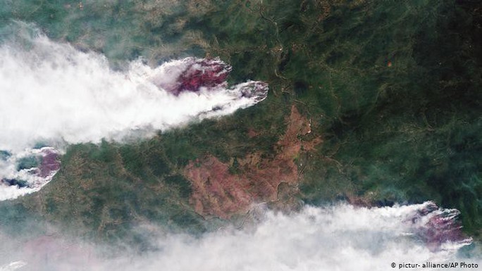Nga “lạnh lùng” với đề nghị giúp chữa cháy rừng của Tổng thống Trump - Ảnh 1.