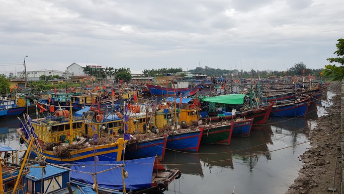 Hải Phòng, Quảng Ninh căng mình ứng phó bão số 3 đổ bộ - Ảnh 2.