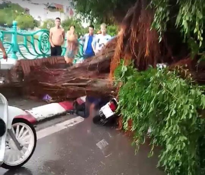 Ảnh hưởng bão số 4, Hà Nội mưa lớn làm đổ hàng loạt cây, 1 người chết - Ảnh 2. Ảnh hưởng bão số 4, Hà Nội mưa lớn làm đổ hàng loạt cây, 1 người chết - Ảnh 2.