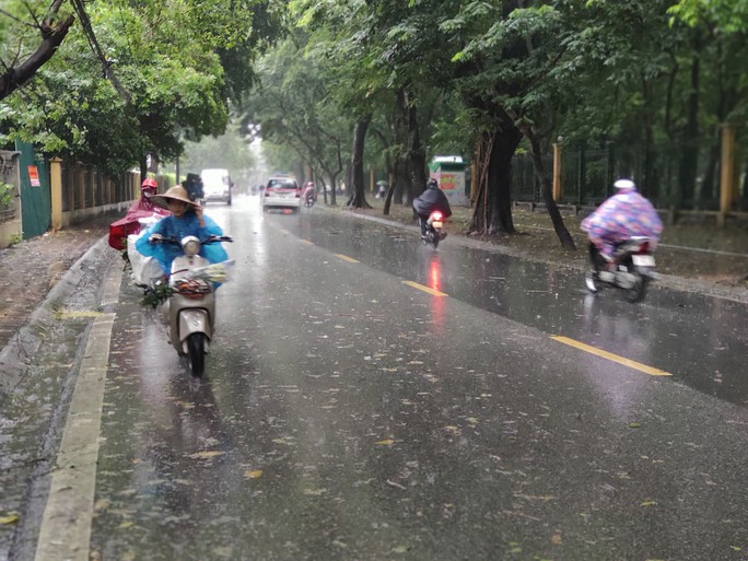 Hà Nội: Mưa rất to, cây cối đổ la liệt do ảnh hưởng bão số 3 - Ảnh 3. Hà Nội: Mưa rất to, cây cối đổ la liệt do ảnh hưởng bão số 3 - Ảnh 3.
